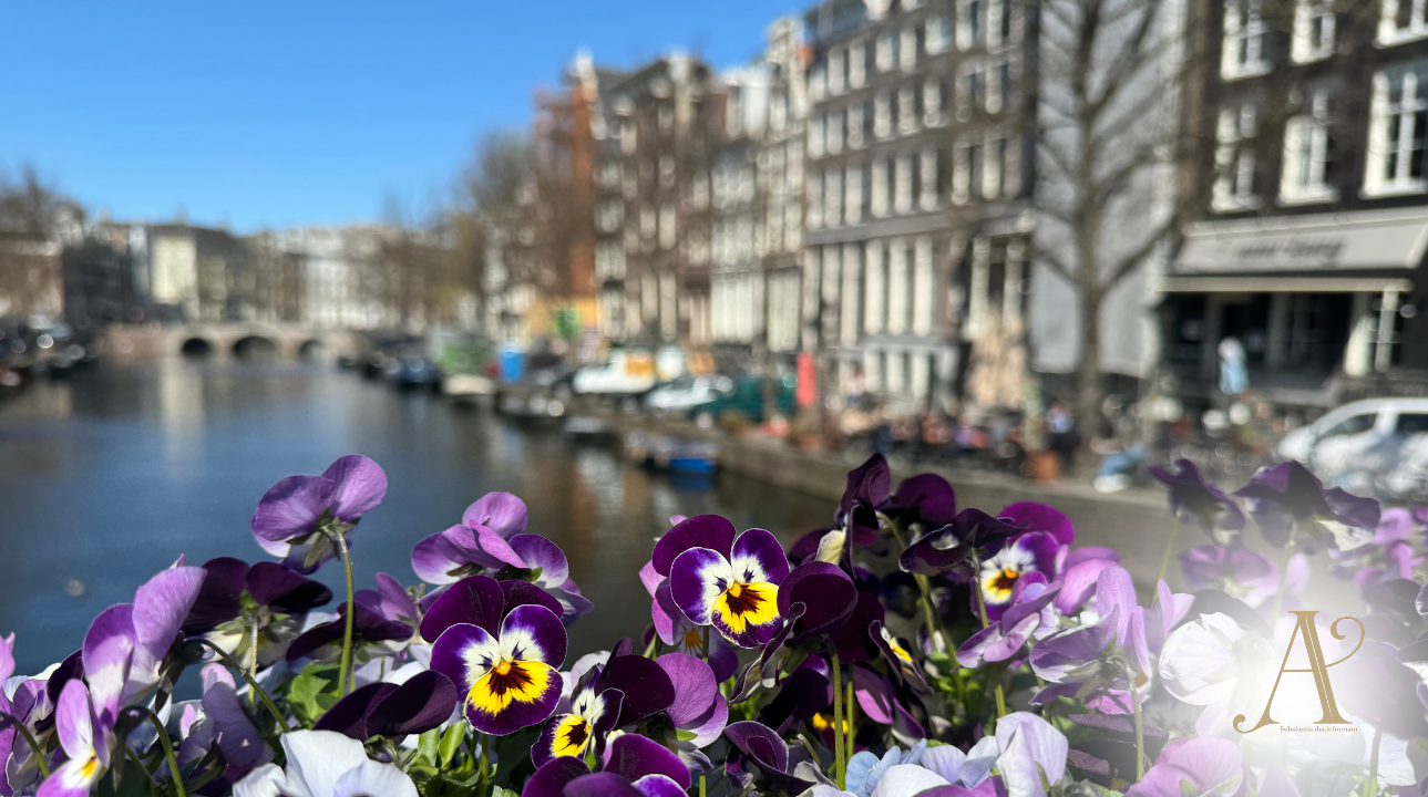 Das Zimmer des gelebten Lebens