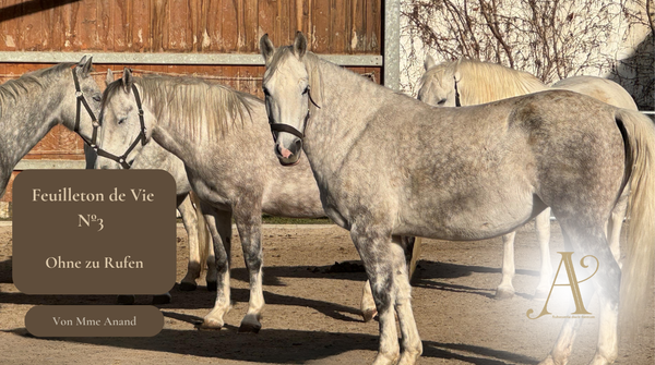 Feuilleton de Vie Nº 3:  Ohne zu Rufen