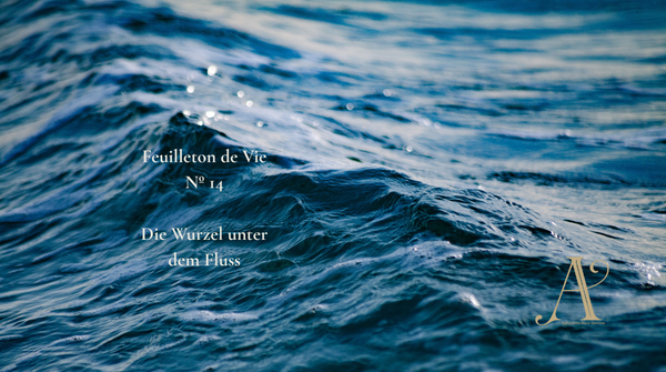 Feuilleton de vie Nº 14: Die Wurzel unter dem Fluss