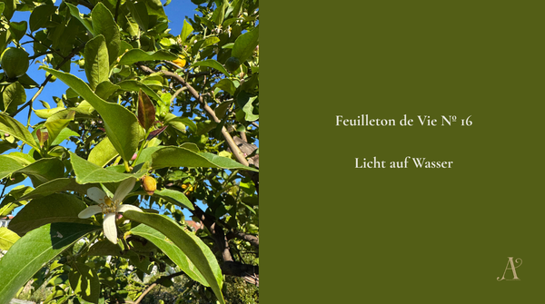 Feuilleton de vie Nº 16: Licht auf Wasser